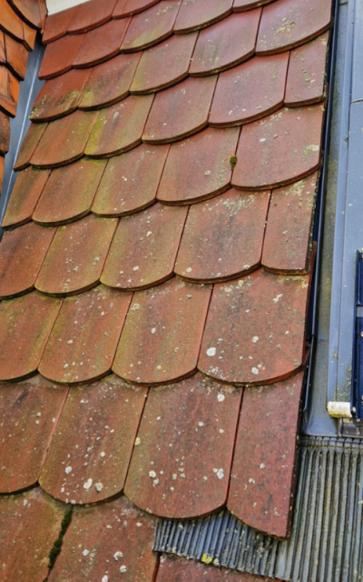 Rénovation et démoussage d'une toiture dans les Vosges